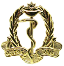 לוגו חיל רפואה