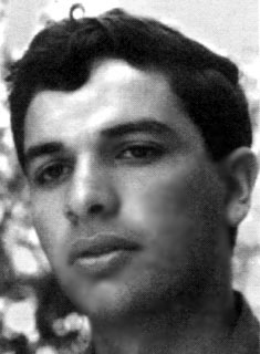 שרון עזריאל